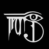 trans0project