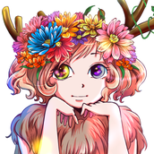 nacchicchi