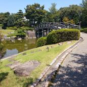 ランル