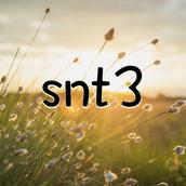 snt3