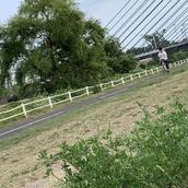 澤田けい