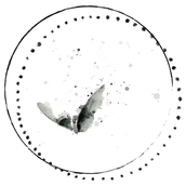 ochtodesign
