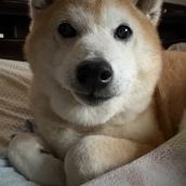 ミズハラ