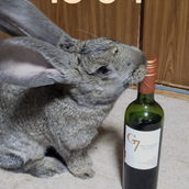 みつぼしこころ