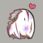 ねこまんま★