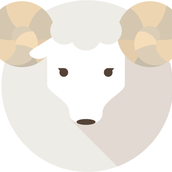 タク|動画編集者