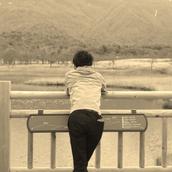 機関投資家マン