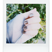 niwa_2502