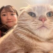 しまだ　まい