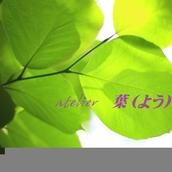 アトリエ葉（よう）