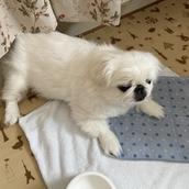 ムカイ　ヒロト