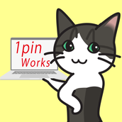 1pin works
