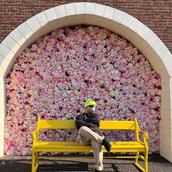 あらたの旅サポート