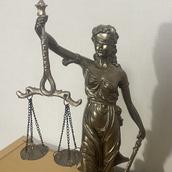 司法試験在学中合格者