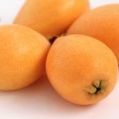 登録販売者Coback