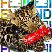 デコショップ✧︎Banjjag×2✧︎