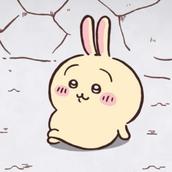 ちいかわ　うさぎ