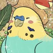 とりまち
