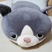 ふるさとみかん