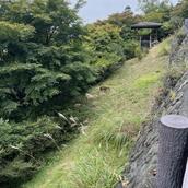 三峯久美　開運占い師