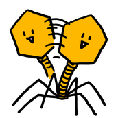 Phage