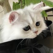 ぽんそる工房