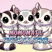 モモメイト✨ペット資格試験コーチング