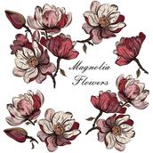 Magnora