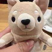 チワワ信仰