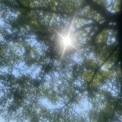 違和感の言語化