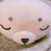白あざらし