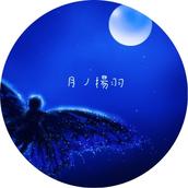 月ノ揚羽 tukino∞ageha