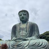 弁護士もどき小僧