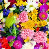 ジンザイイクセイシエンキョウカイ