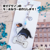 まるふぁくとりー