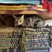 Catwork