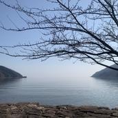 ほたて【編集×DTP】