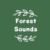 ForestSounds
