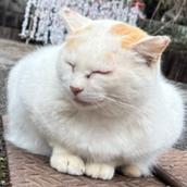 ロックウエーブFP事務所