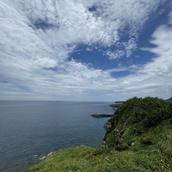 Yama_coco