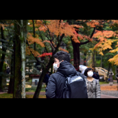 やまちゃそ