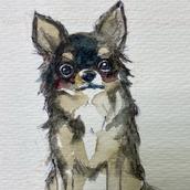 似顔絵ツリガネニンジン