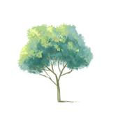 華咲もふすけ