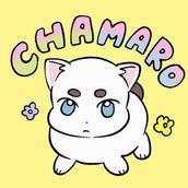 kap chamaro