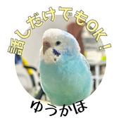 ゆうかほ