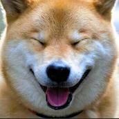 プロデザインあらい