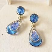 fairy blue
