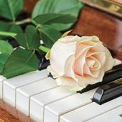 手作り工房✿彩りの音✿