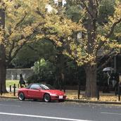 ビートまつもと