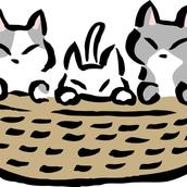 もちもちのもち